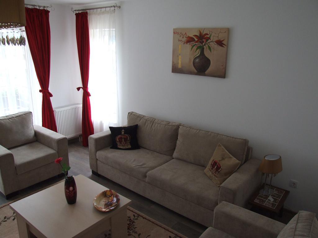 Anca Apartment براشوف المظهر الخارجي الصورة