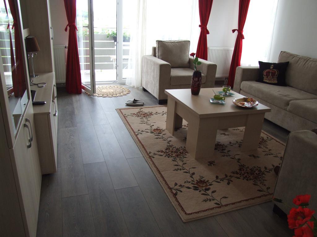 Anca Apartment براشوف المظهر الخارجي الصورة