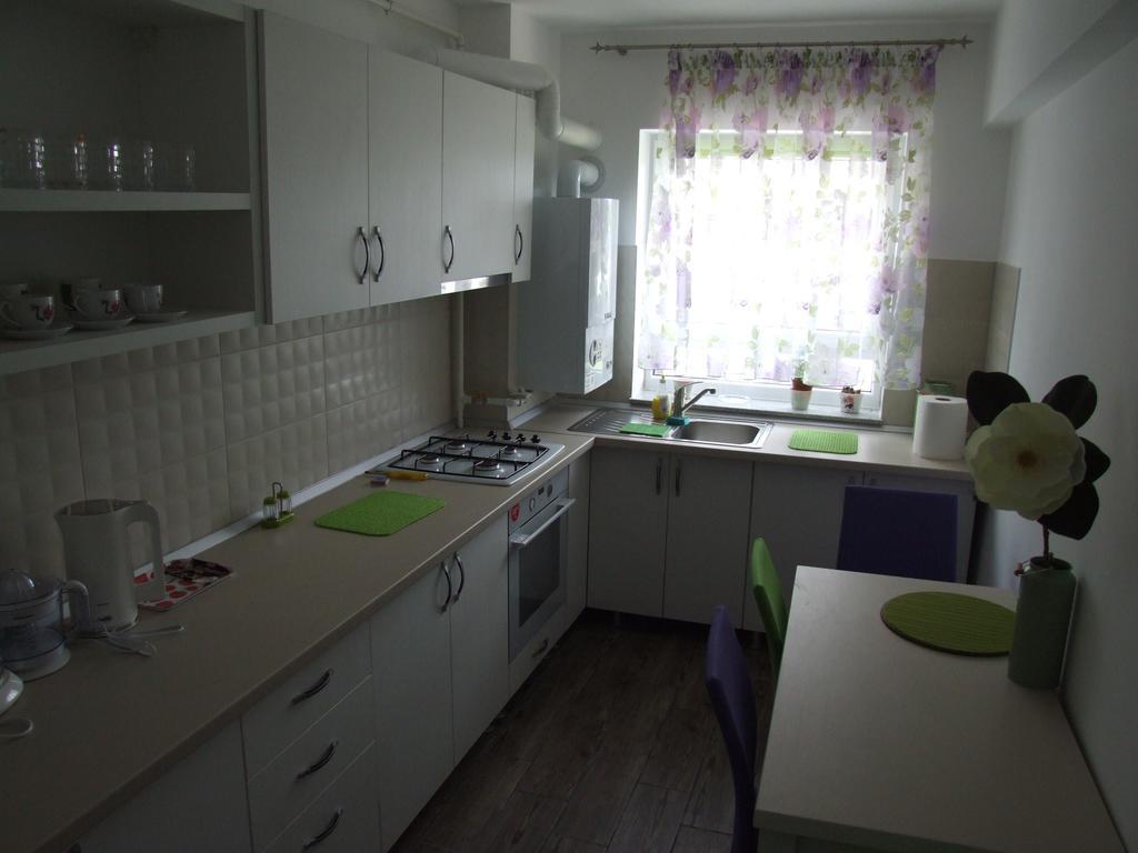 Anca Apartment براشوف المظهر الخارجي الصورة