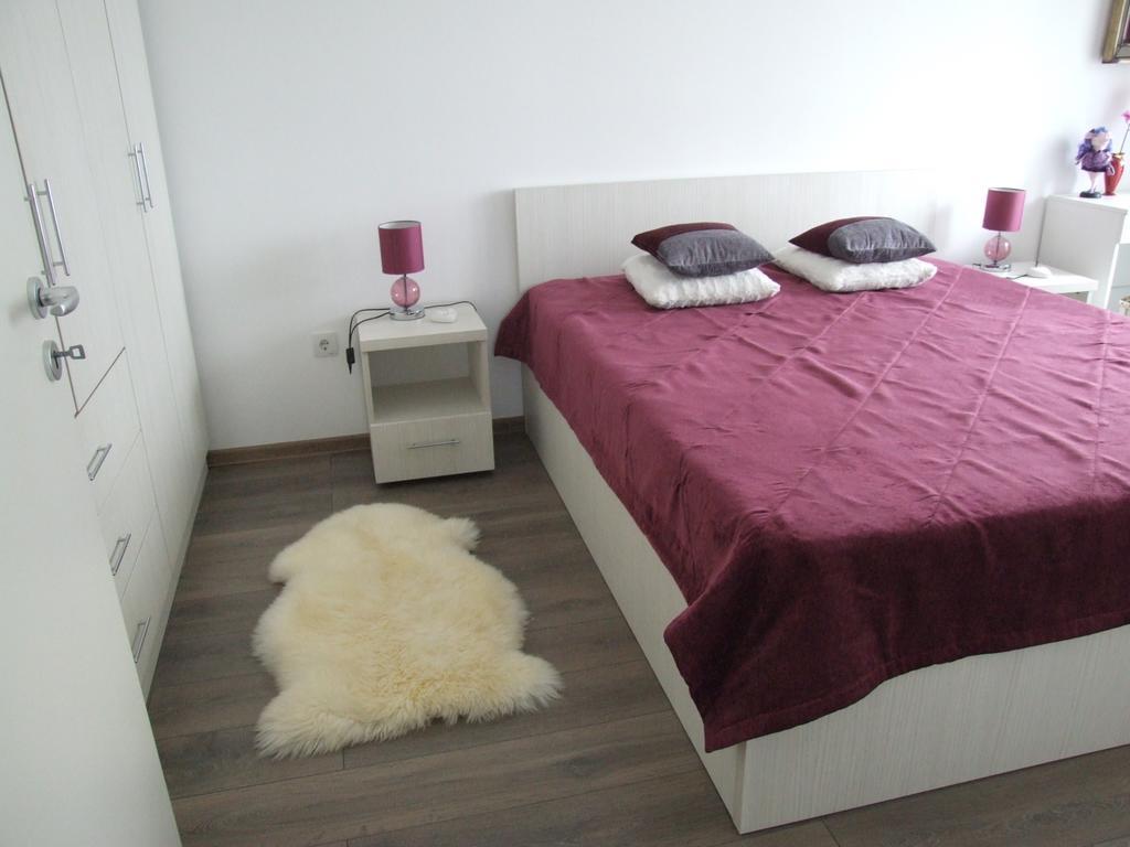 Anca Apartment براشوف المظهر الخارجي الصورة