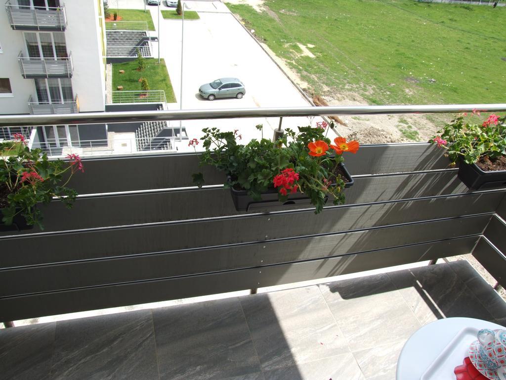 Anca Apartment براشوف المظهر الخارجي الصورة
