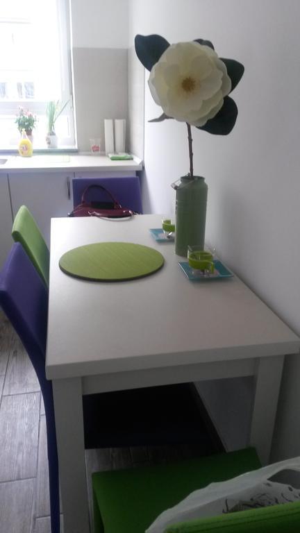 Anca Apartment براشوف المظهر الخارجي الصورة